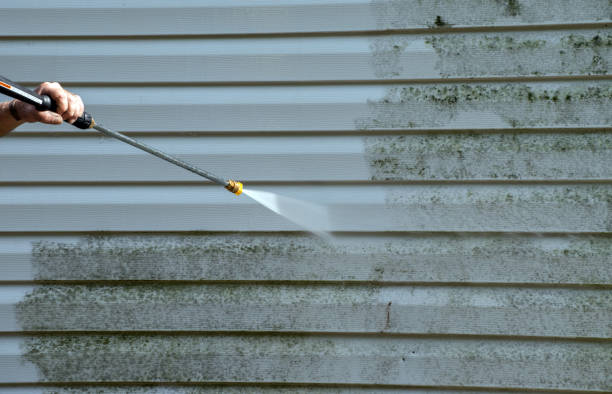 Best Patio and Deck Pressure Washing  in Tallahassee, FL